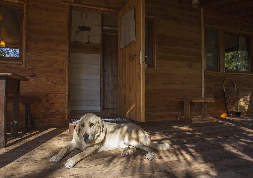 Masia El Moli De Can Aulet Guest House Arbúcies Екстериор снимка